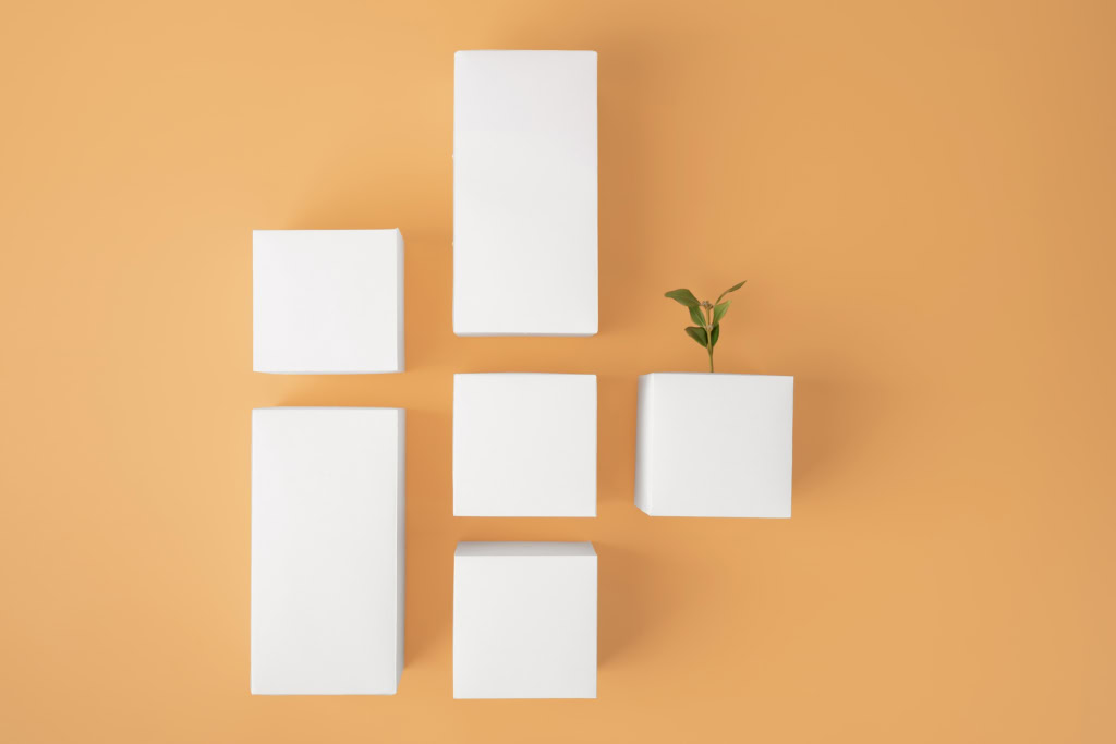 sustainability concept with plants growing from blank geometric forms
